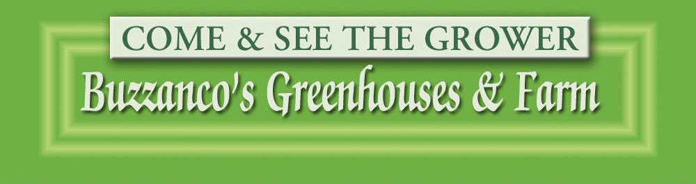 Come & See The Grower Buzzanco Greenhouses & Farm
